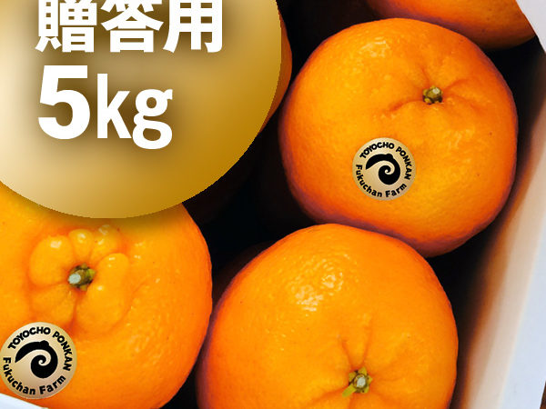 ぽんかん 贈答用 5kg <p class="out-of-stock">在庫切れ</p>