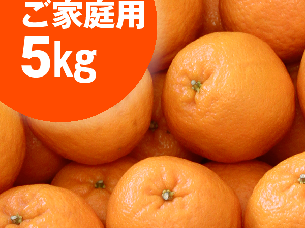 ぽんかん ご家庭用 5kg <p class="out-of-stock">在庫切れ</p>
